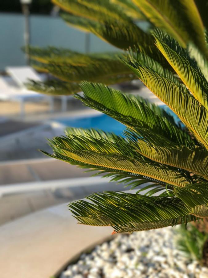 Aparthotel Path House - Etna & Sea View Riposto Exterior foto